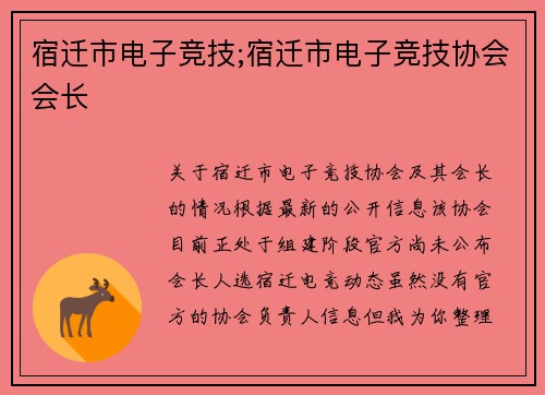 宿迁市电子竞技;宿迁市电子竞技协会会长